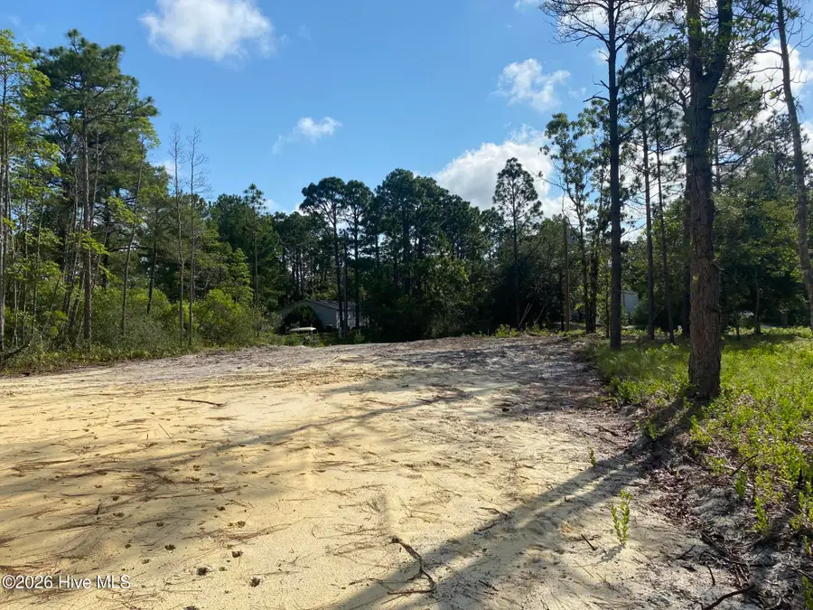 1170 Statesville Road, Boiling Spring Lakes, NC 28461 - #3