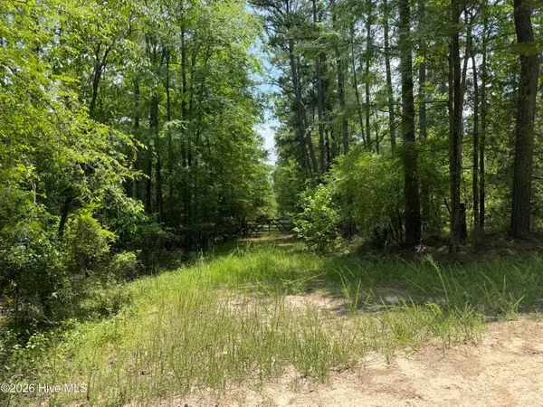 0 Burks Mountain Road, Appling, GA 30802