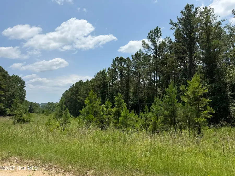 0 Burks Mountain Road, Appling, GA 30802 - #3