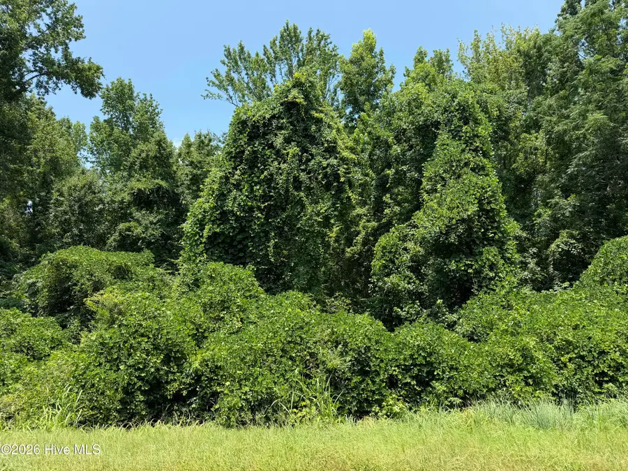 6925 Cobbham Road, Appling, GA 30802 - #3