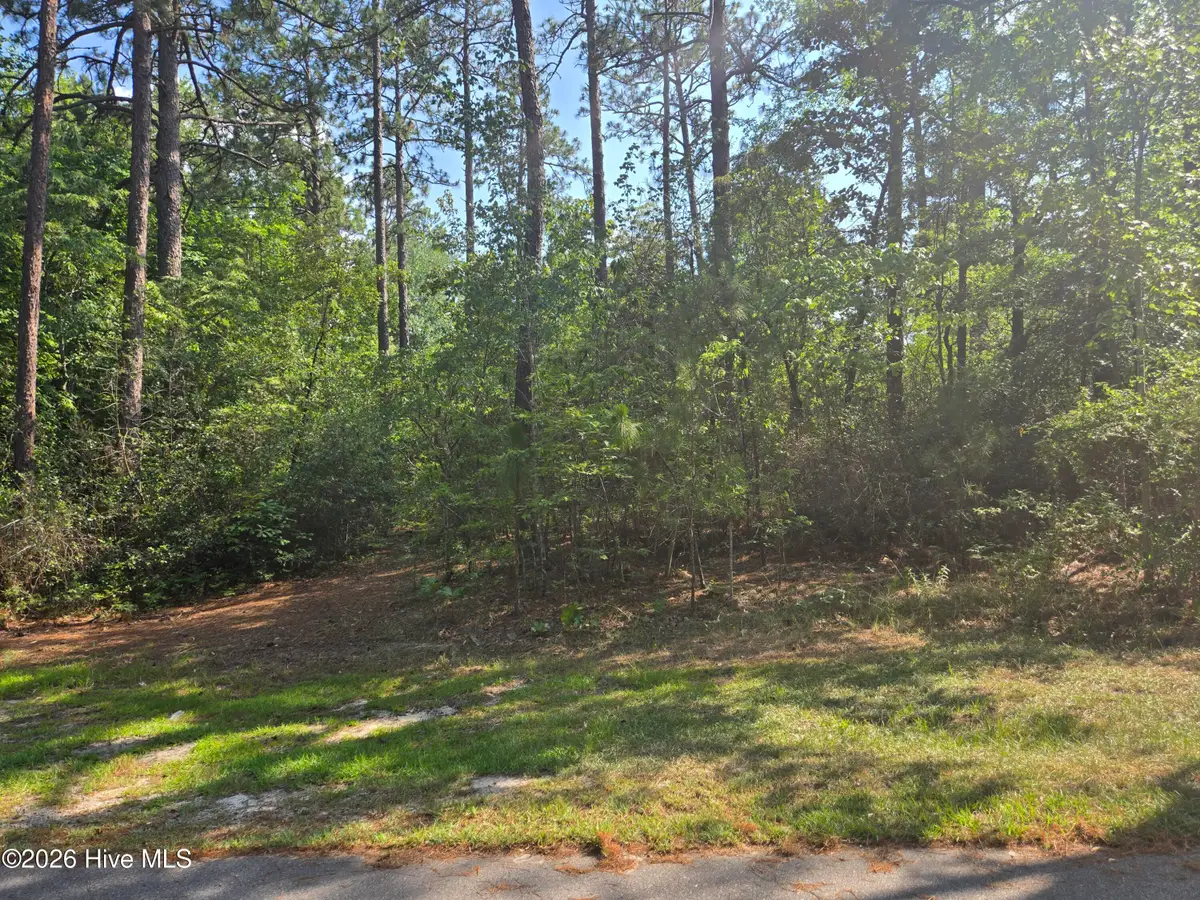 Tbd King Court, Pinehurst, NC 28374 - #1