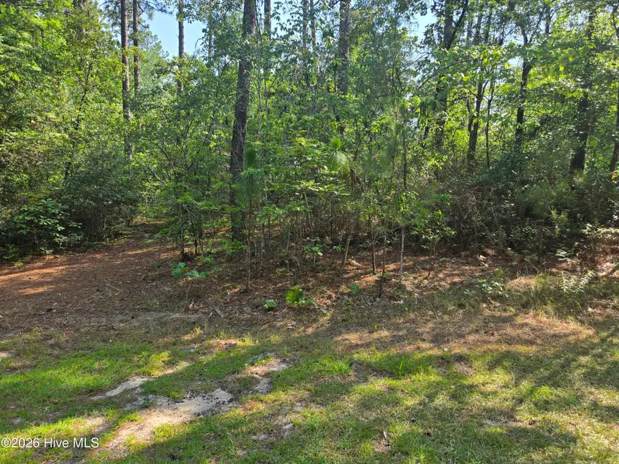 Tbd King Court, Pinehurst, NC 28374 - #2