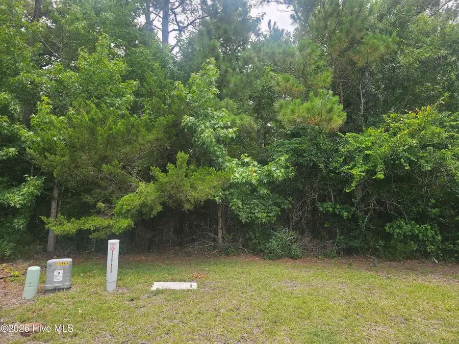 1802 Arctic Tern Court, Morehead City, NC 28557 - #2