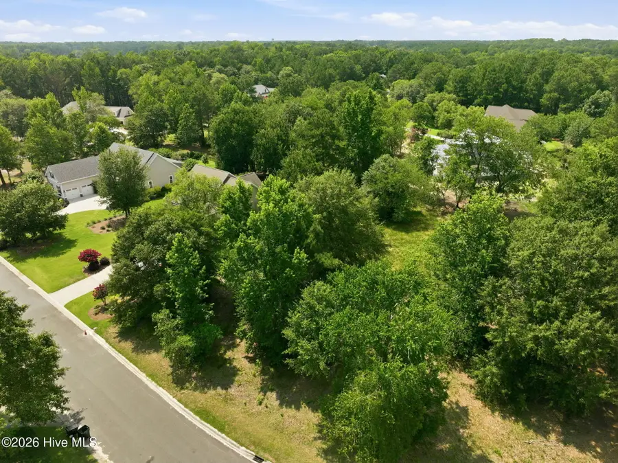 119 Sugar Maple Court, Wallace, NC 28466 - #3