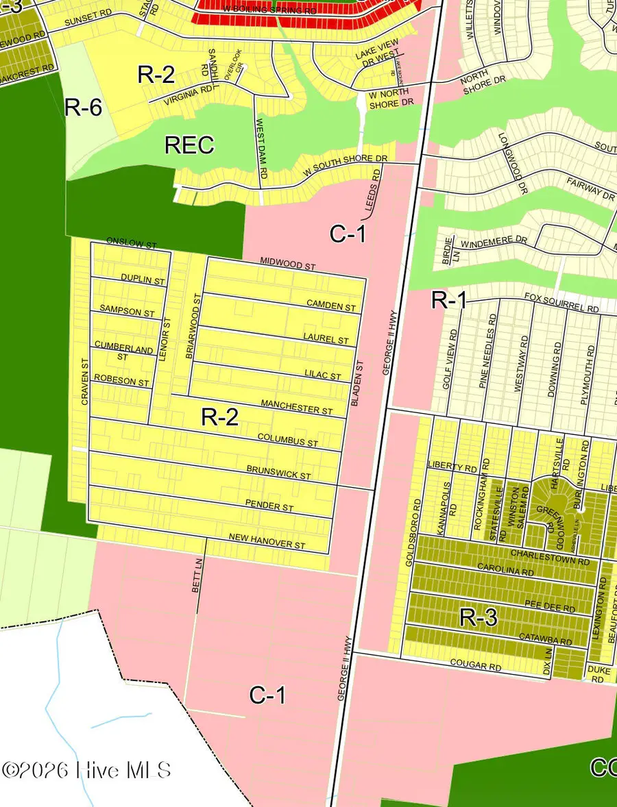 L-724,725 Camden & Bladen Streets, Boiling Spring Lakes, NC 28461 - #2