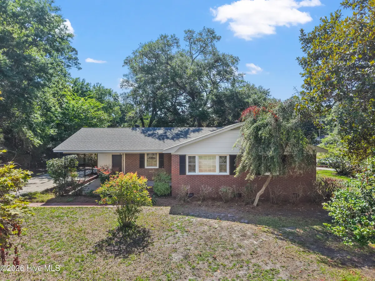 111 S Channel Haven Drive S, Wilmington, NC 28409 - #1