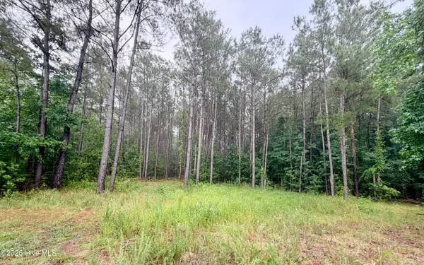 Tract F Us 421 Highway N, Currie, NC 28435