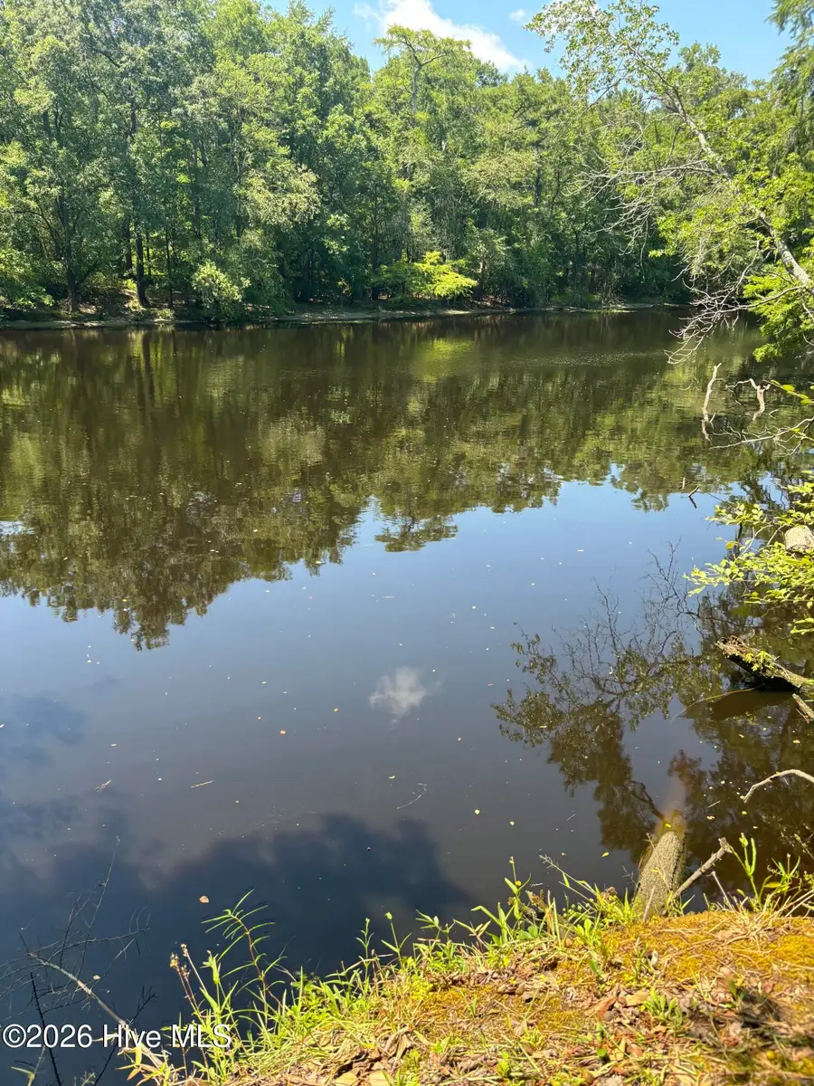 105 Whitestocking Ext, Burgaw, NC 28425 - #3