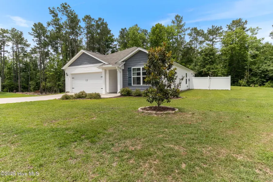 362 Hope Creek Drive, Hampstead, NC 28443 - #3