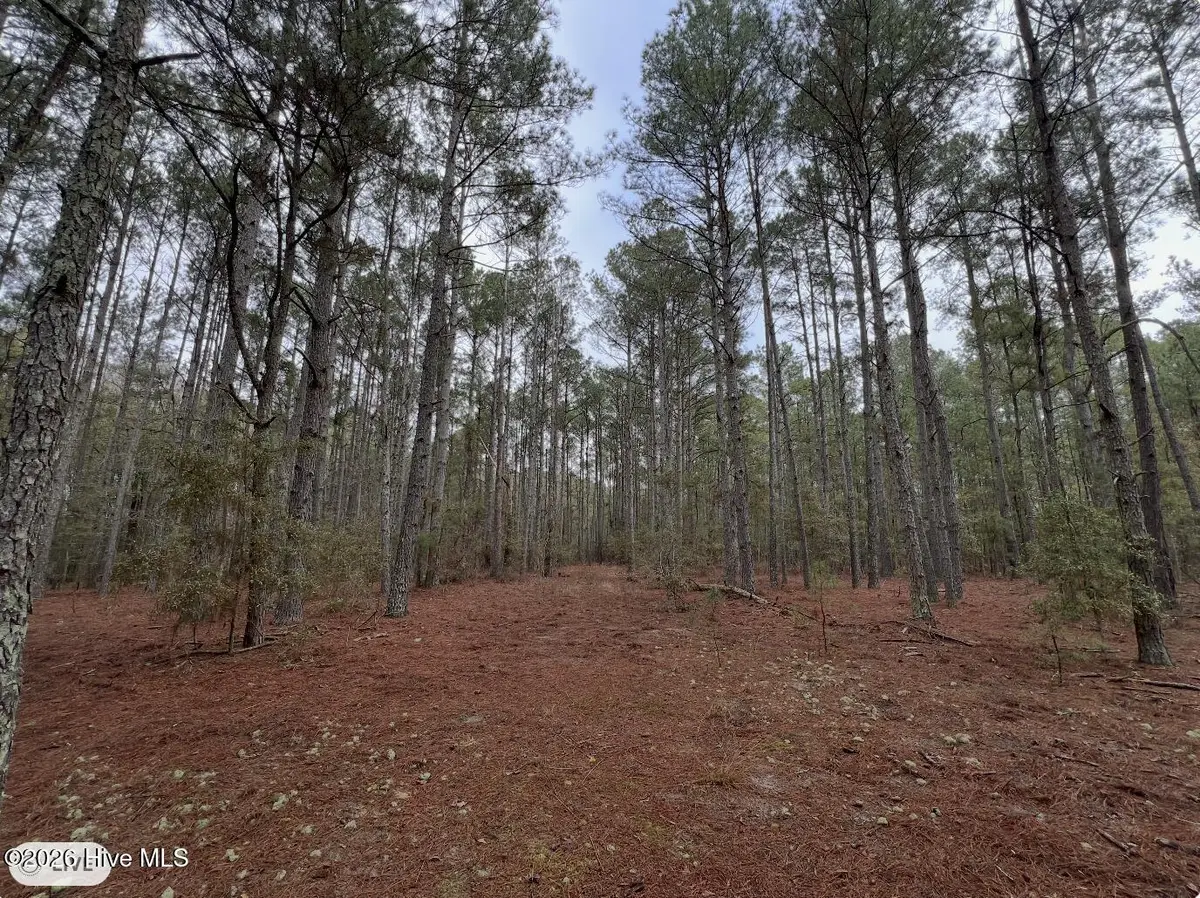 00 Garland Highway, Clinton, NC 28328 - #1