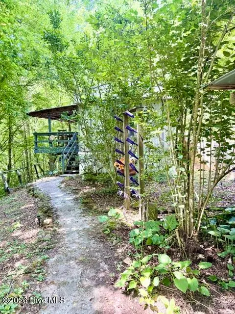 89 Dog Hollow Hollow, Robbinsville, NC 28771 - #1