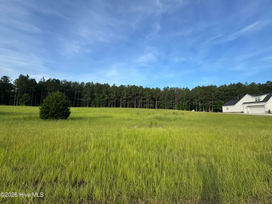 415 Arthur Grimaud Way, Appling, GA 30802 - #2
