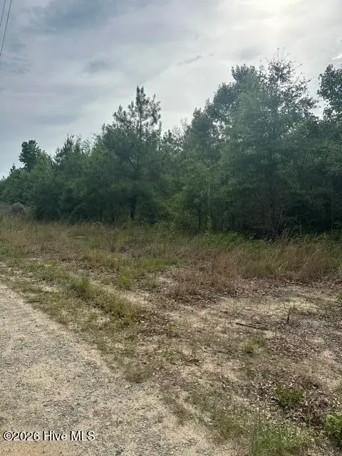 Tbd Old Place Road, Ellerbe, NC 28338 - #1
