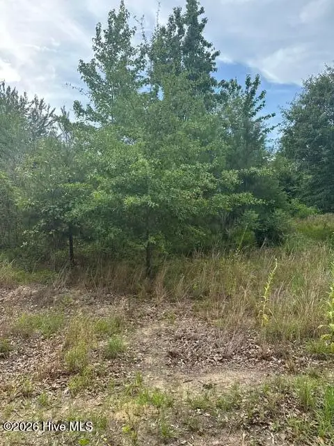 Tbd Old Place Road, Ellerbe, NC 28338 - #2
