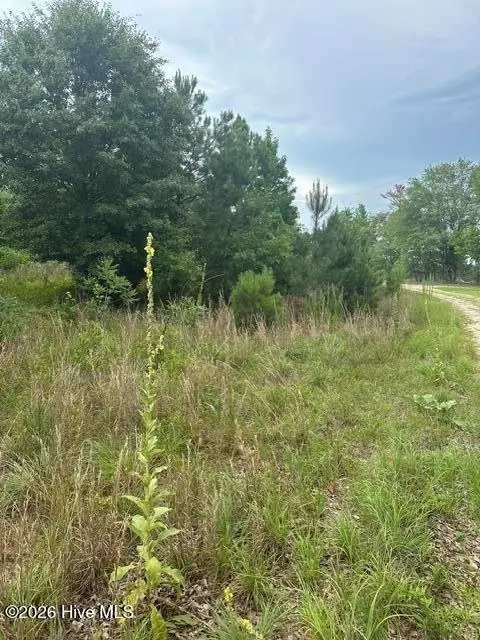 Tbd Old Place Road, Ellerbe, NC 28338 - #3