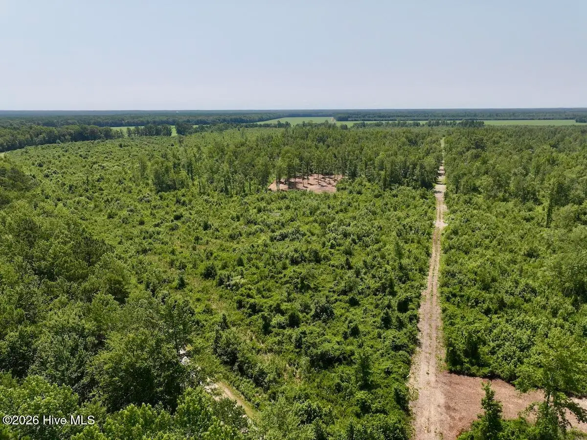 0 Guinea Mill Road, Ernul, NC 28527 - #1