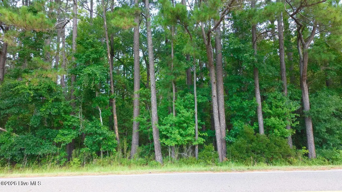 0000a Near 855 Furnie Hamm Road, Clarendon, NC 28432 - #1