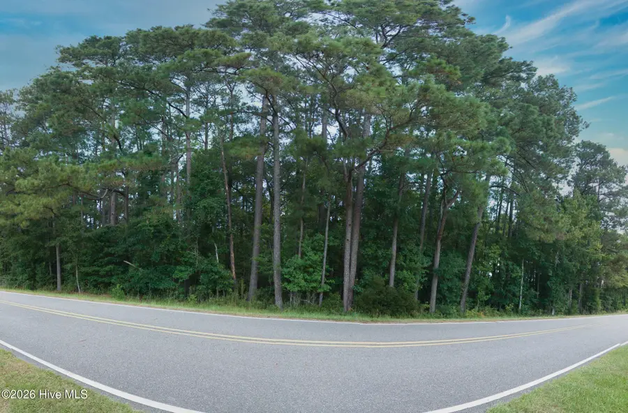 0000a Near 855 Furnie Hamm Road, Clarendon, NC 28432 - #3