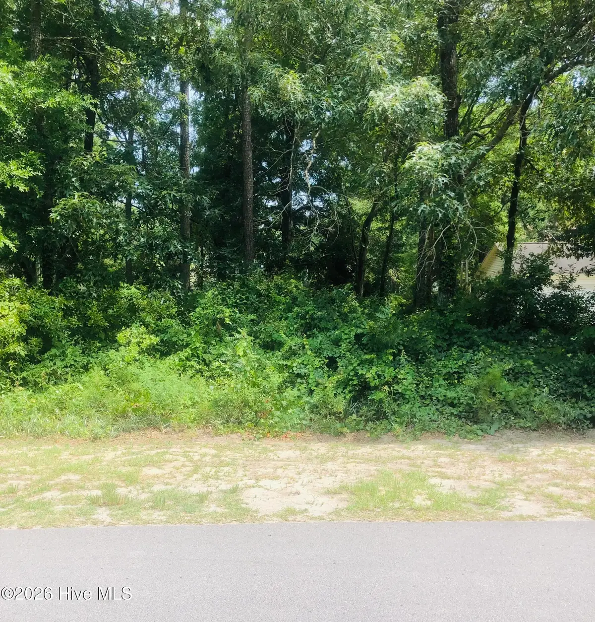 124 Bayshore Drive, Sneads Ferry, NC 28460 - #1