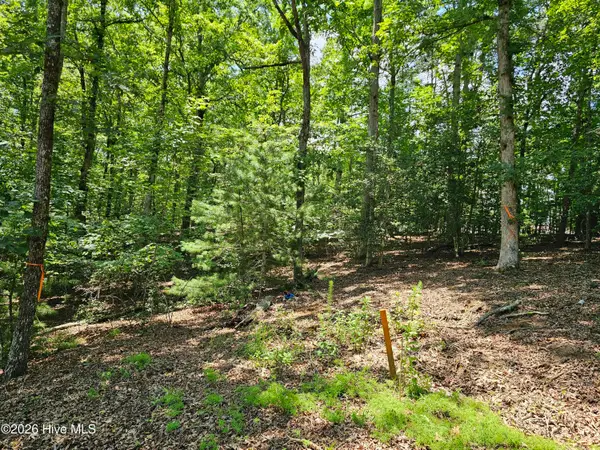 Lot 10 Bobcat Lane, Murphy, NC 28906