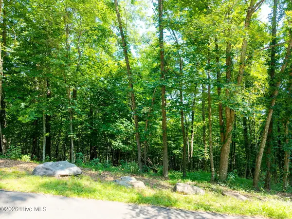 46 Buck Ridge Drive, Murphy, NC 28906