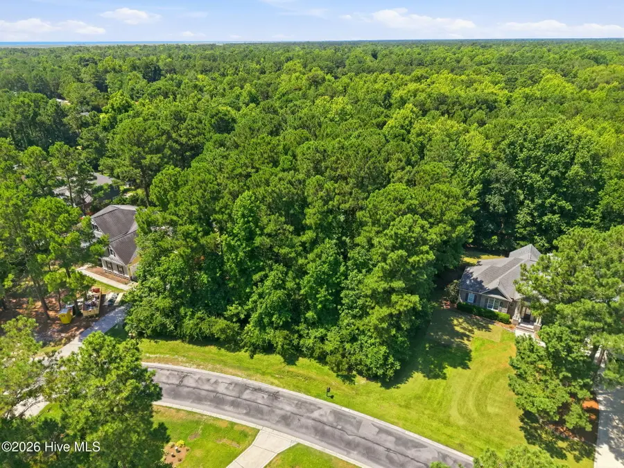 135 Hydrangea Lane, Hampstead, NC 28443 - #2