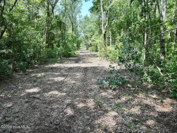 28 Guinea Mill Road, Ernul, NC 28527