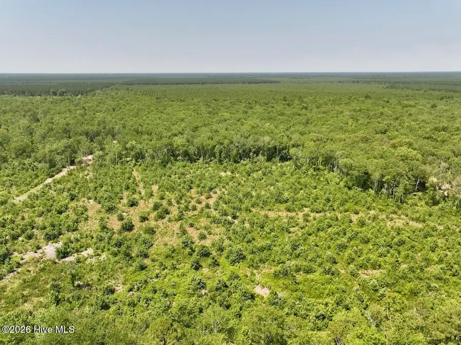 28 Guinea Mill Road, Ernul, NC 28527 - #2