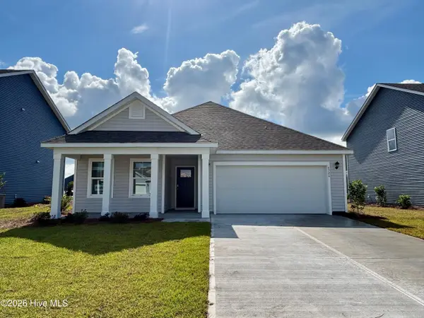 1113 Pampas Grass Drive #Lot 292, Castle Hayne, NC 28429