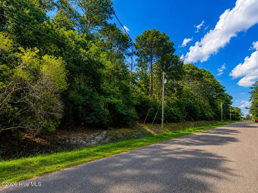 233 Pages Creek Drive, Wilmington, NC 28411 - #3