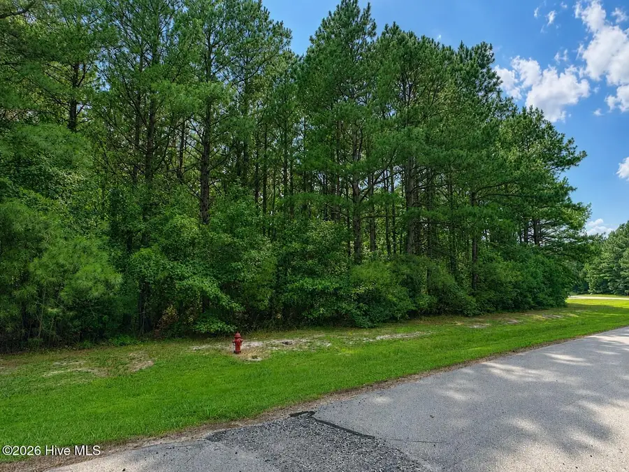136 Norcum Point Road, Edenton, NC 27932 - #2