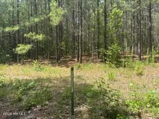 Tbd Boling Way, Carthage, NC 28327 - #2