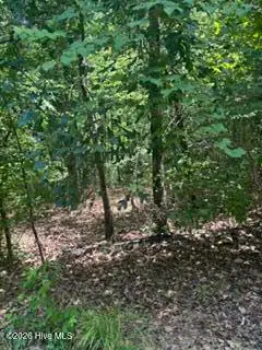 Tbd Boling Way, Carthage, NC 28327 - #3