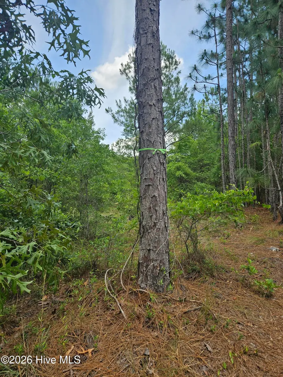 0 Phoenix Parkway, Navassa, NC 28451 - #3