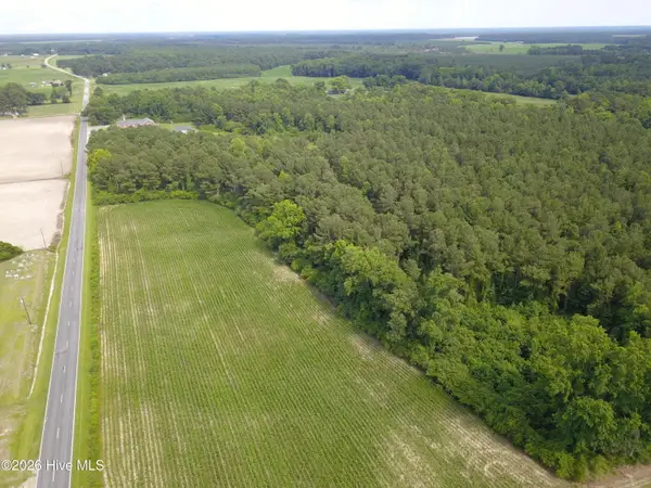 0 Ludie Brown Road, Chinquapin, NC 28521