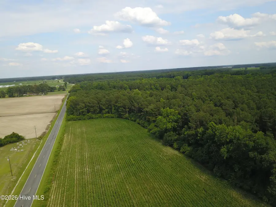 0 Ludie Brown Road, Chinquapin, NC 28521 - #2