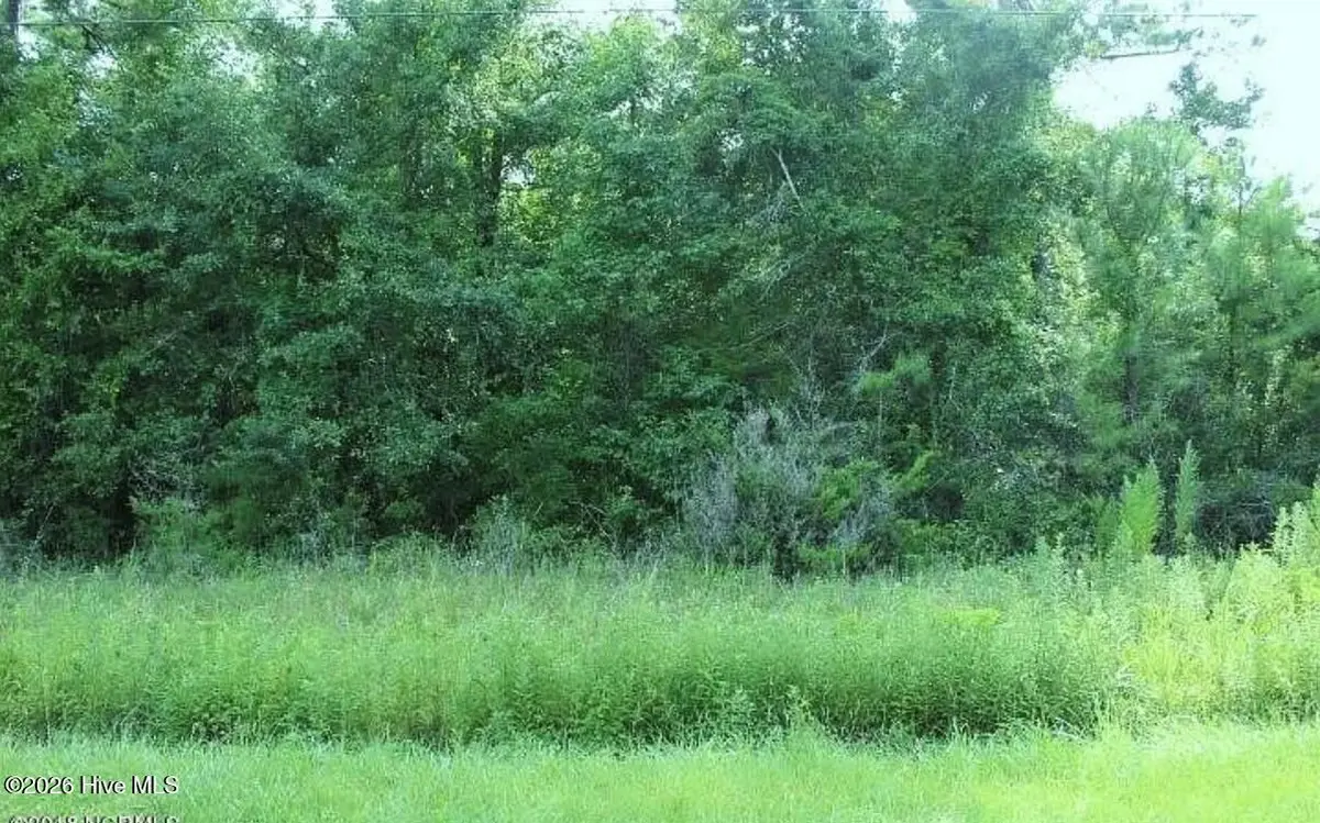 Lot 11 Jamaica Drive, Hampstead, NC 28443 - #1
