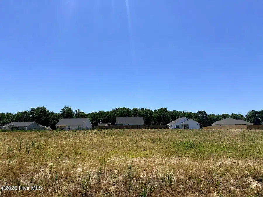 202 Jackson Ridge Way, Pikeville, NC 27863 - #2
