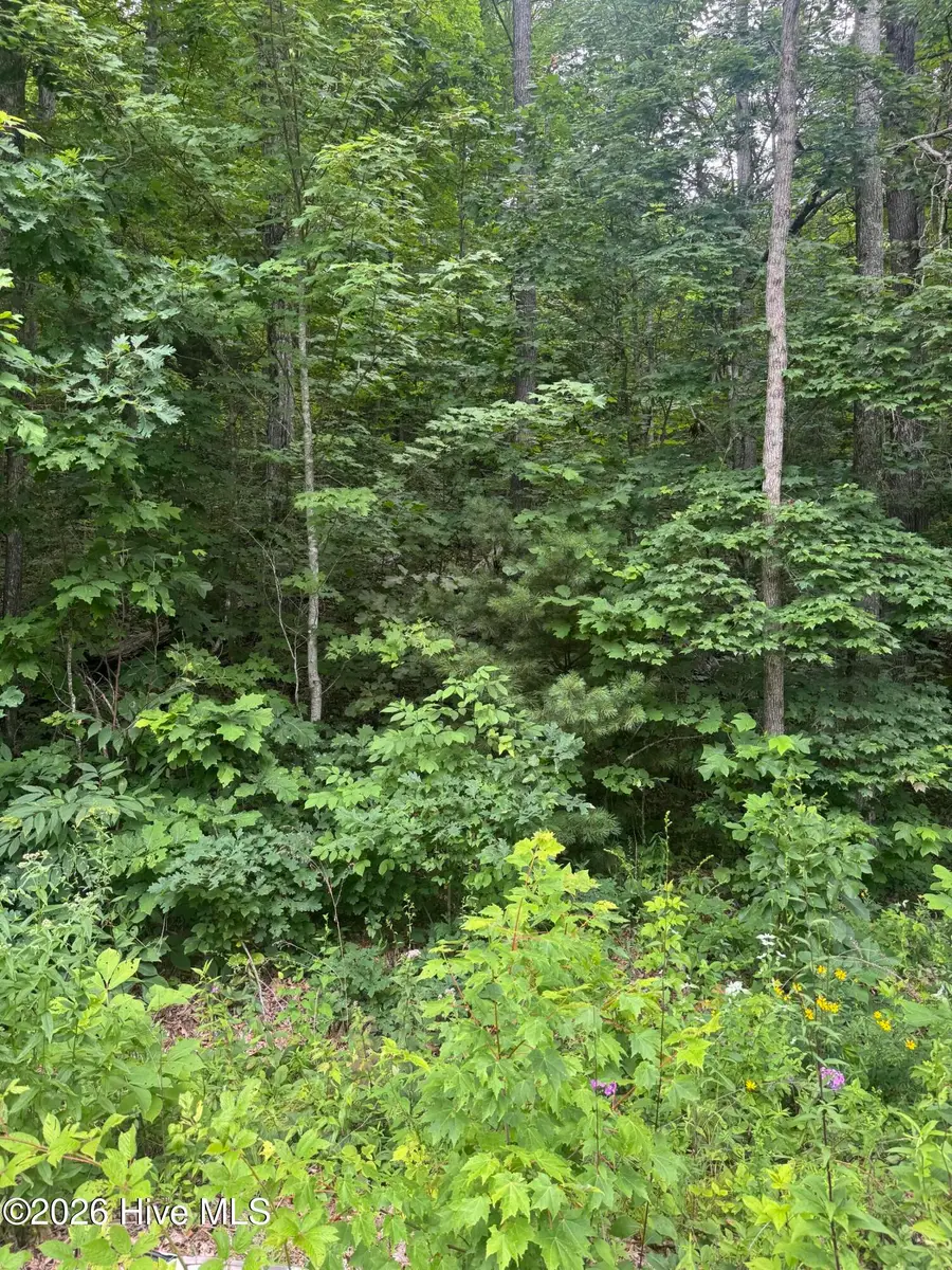 78 Lt 78 Pitch Pine Drive, Sylva, NC 28779 - #2