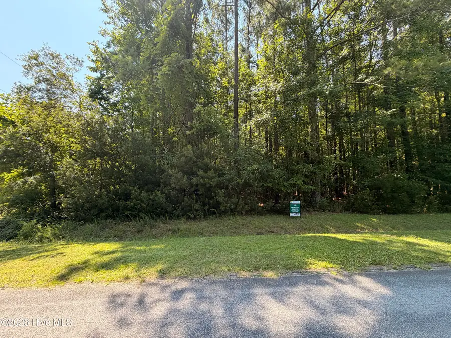 Lot 18 Off Sr 1119, Blounts Creek, NC 27814 - #3