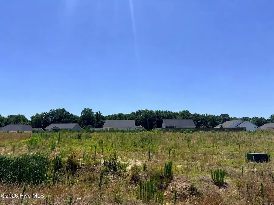 204 Jackson Ridge Way, Pikeville, NC 27863 - #2