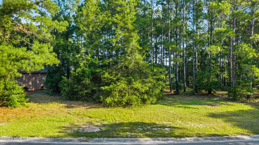 205 Cedar Point Drive, Wallace, NC 28466 - #3