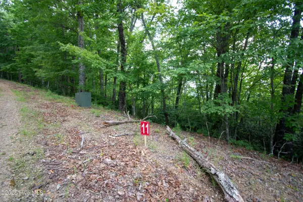 Lt 11 Desoto Trail, Marble, NC 28905