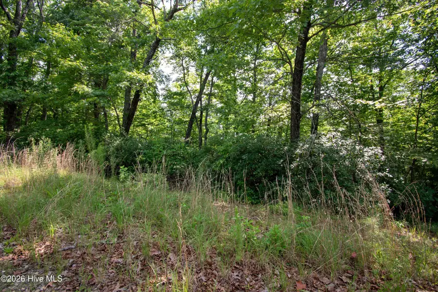 Lt 11 Desoto Trail, Marble, NC 28905 - #2