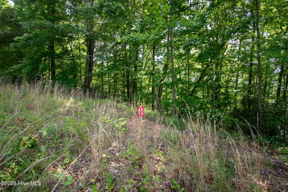 Lt 10 Desoto Trail, Marble, NC 28905 - #1