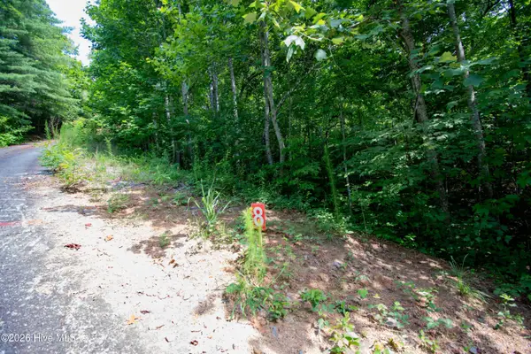 94 Desoto Trail, Marble, NC 28905