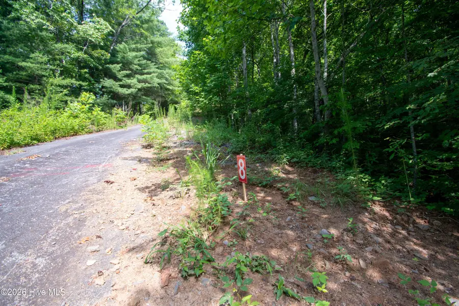 94 Desoto Trail, Marble, NC 28905 - #2