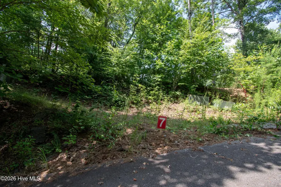 125 Desoto Trail, Marble, NC 28905 - #2