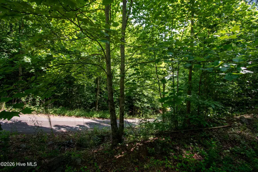 125 Desoto Trail, Marble, NC 28905 - #3