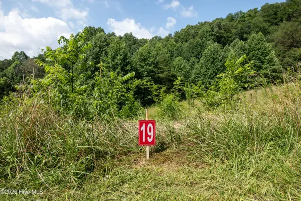 Lt 19 Henry Moss Lane, Marble, NC 28905